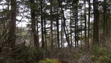 DSCF0559