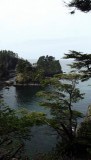 DSCF0561
