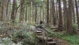 DSCF0564