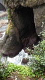 DSCF0567