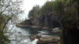 DSCF0568