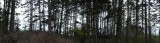 DSCF0569