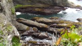 DSCF0571