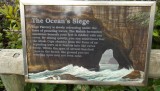 DSCF0573