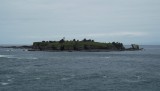 DSCF0575