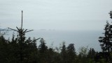 DSCF0591