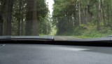 DSCF0599