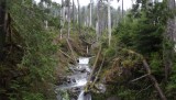 DSCF0618