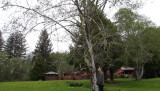 DSCF0608