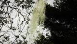 DSCF0609
