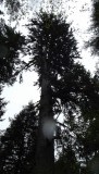DSCF0610