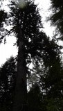 DSCF0611