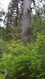 DSCF0612