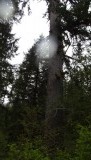 DSCF0613