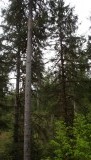 DSCF0614
