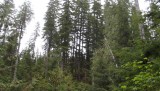 DSCF0615