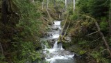 DSCF0617