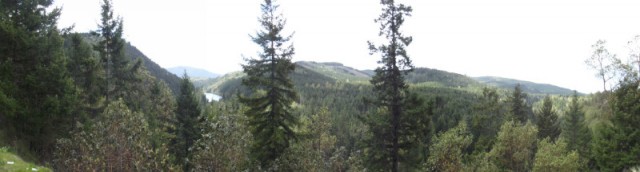 DSCF0629