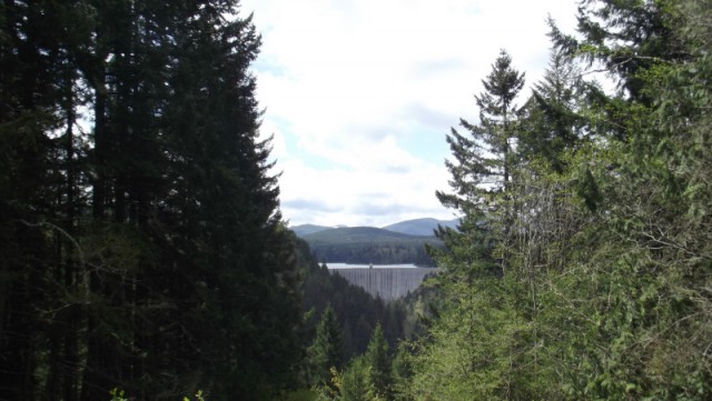 DSCF0631