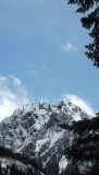 DSCF0639