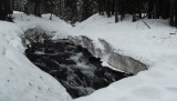 DSCF0643
