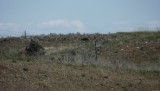 DSCF0729
