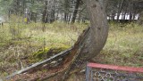 DSCF0770