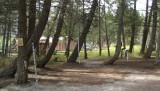 DSCF0774