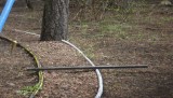 DSCF0786