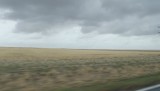 DSCF0806