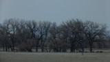 DSCF0825