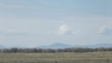 DSCF0829