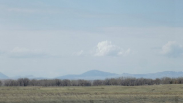 DSCF0829