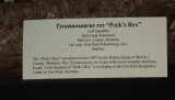 DSCF0836