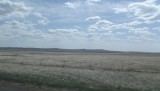 DSCF0842
