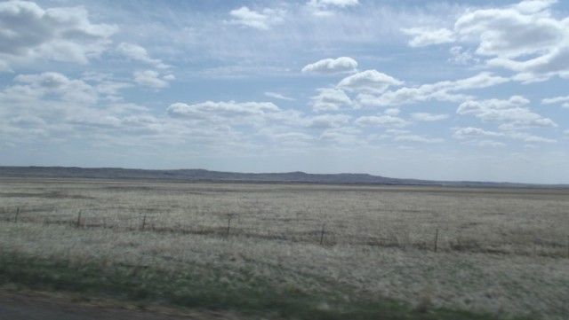 DSCF0842