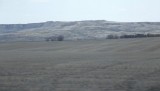 DSCF0846