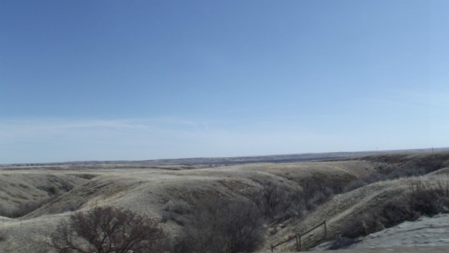 DSCF0853