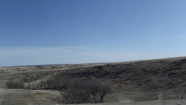 DSCF0855