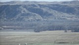 DSCF0860