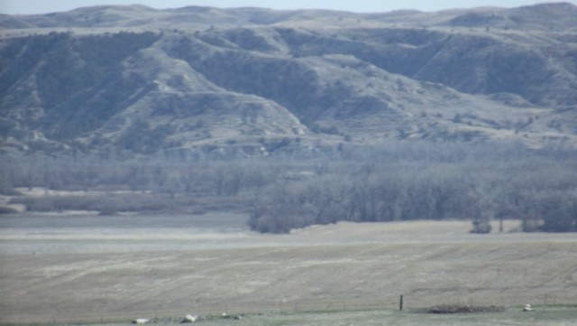 DSCF0860