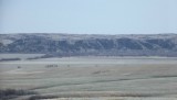 DSCF0861