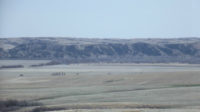 DSCF0861