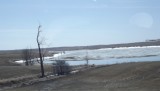 DSCF0874