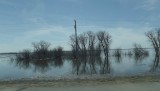 DSCF0876