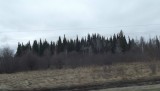 DSCF0900