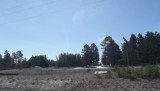 DSCF0901