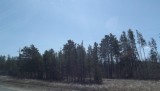 DSCF0904