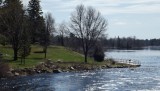 DSCF0913