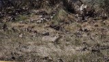 DSCF0921